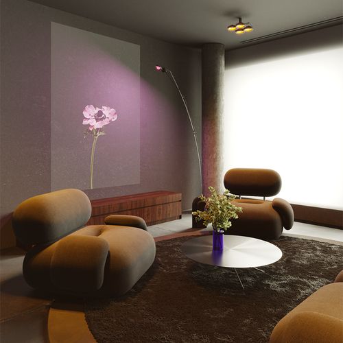 Кофейный столик OX